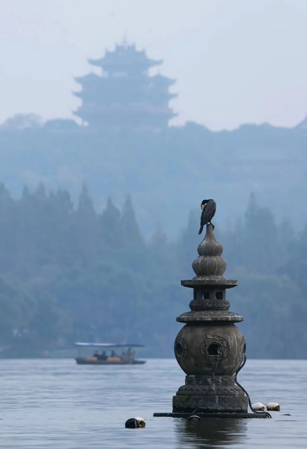 摄/楼航