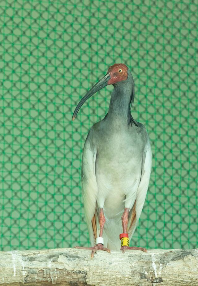 2d11-89ac2a75d9d61872129d4041fad1ca26.jpg