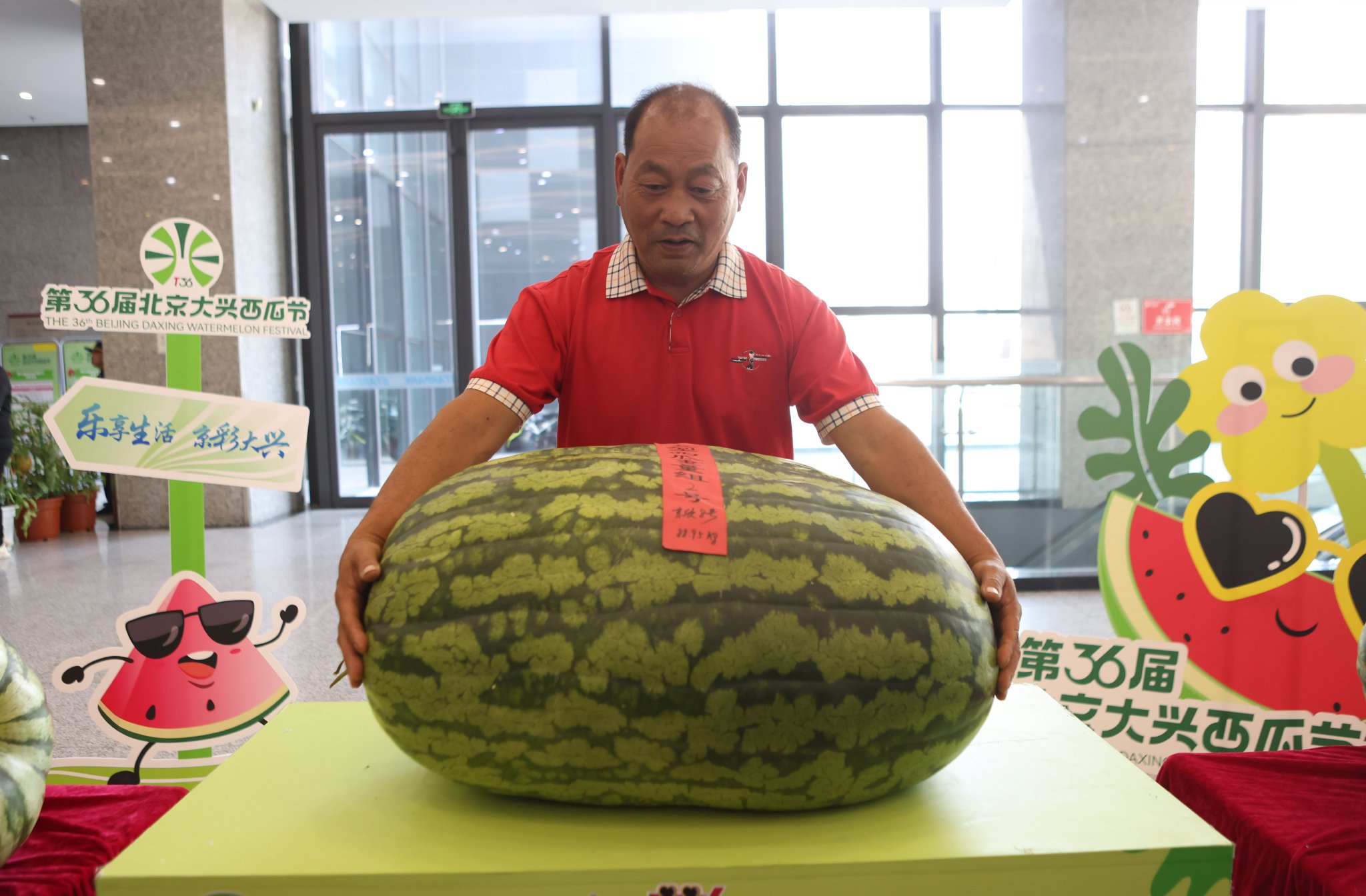 開幕禮會場,大興龐各莊鎮的瓜農謝政江在展示自己培育的「瓜王」。新京報記者 李木易 攝
