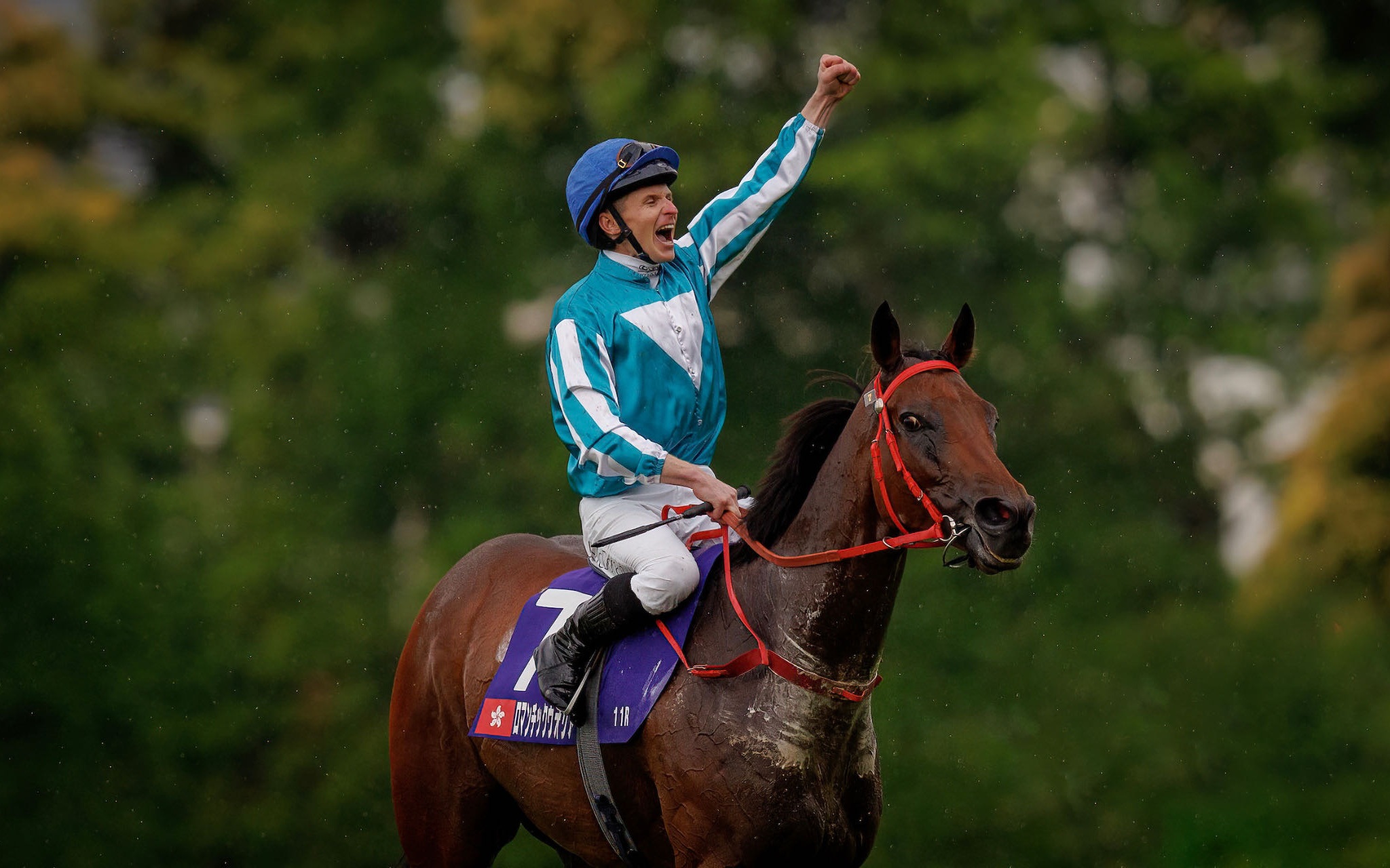 騎師麥道朗揮拳慶祝奪冠。 香港賽馬會供圖