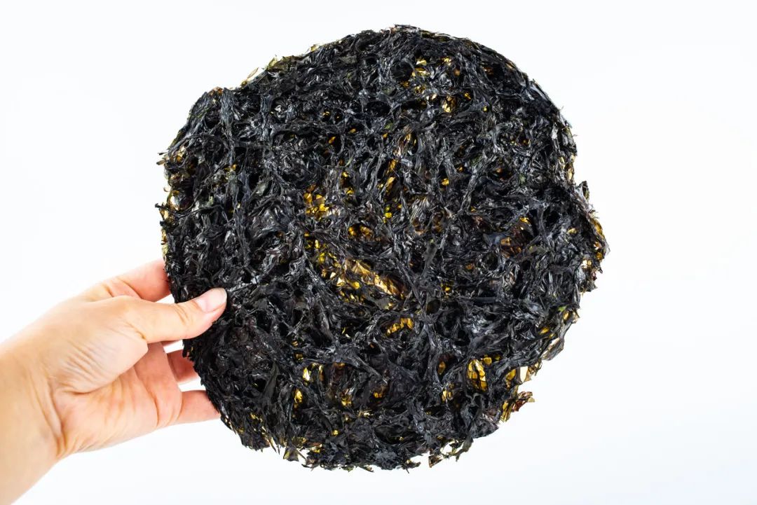 最适合夏天吃的14种蔬菜,赶快端上餐桌吧!
