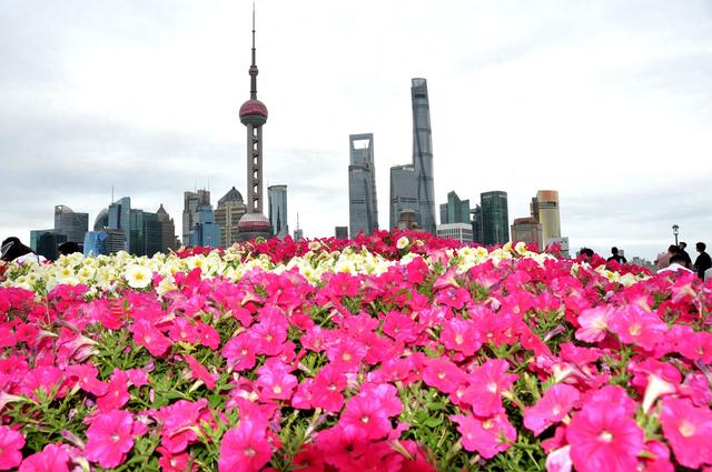 2024年6月10日，上海，端午小長假最後一天，外灘、南京路步行街、蘇州河沿線遊客如織。視覺中國 圖