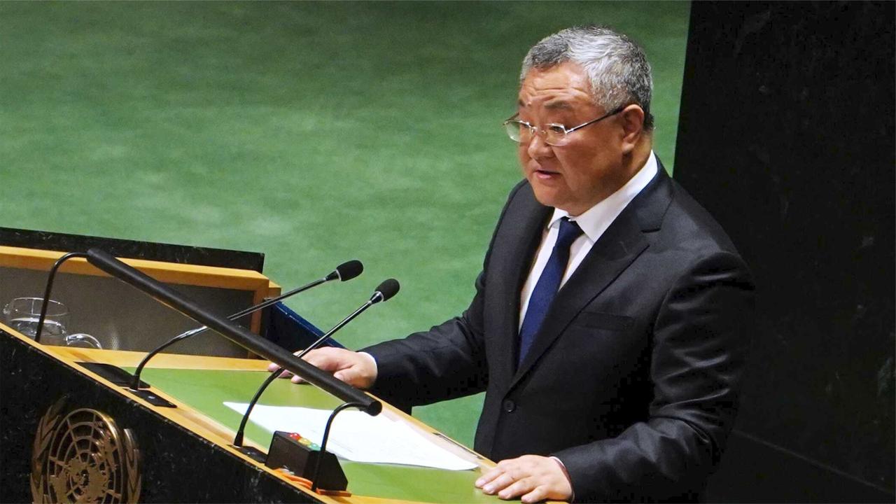 安理会通过涉加沙决议