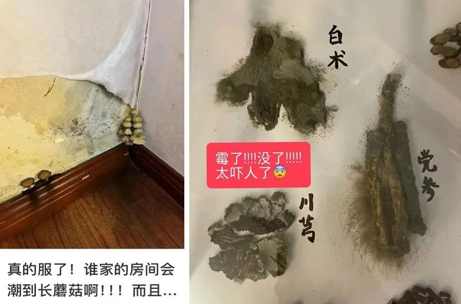 ▲圖源:小紅書
