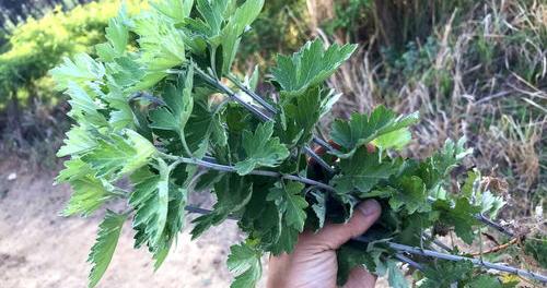 一吨物质燃烧后发生了什么 物质燃烧重量消失去哪了