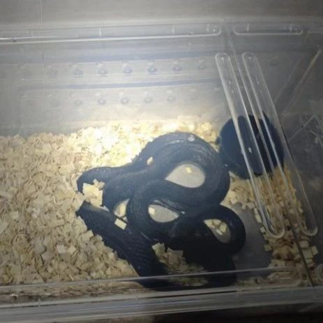 说起尼罗河，你会想到什么？...