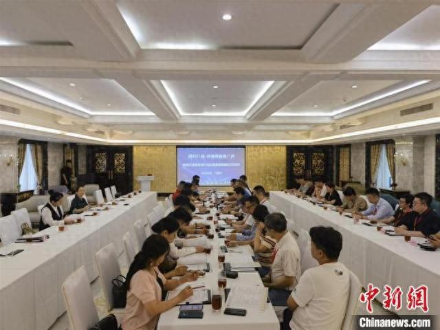 圖為“僑約八桂·僑領僑青看廣西暨服務打造粵港澳大灣區重要戰略腹地交流活動”現場。林浩 攝
