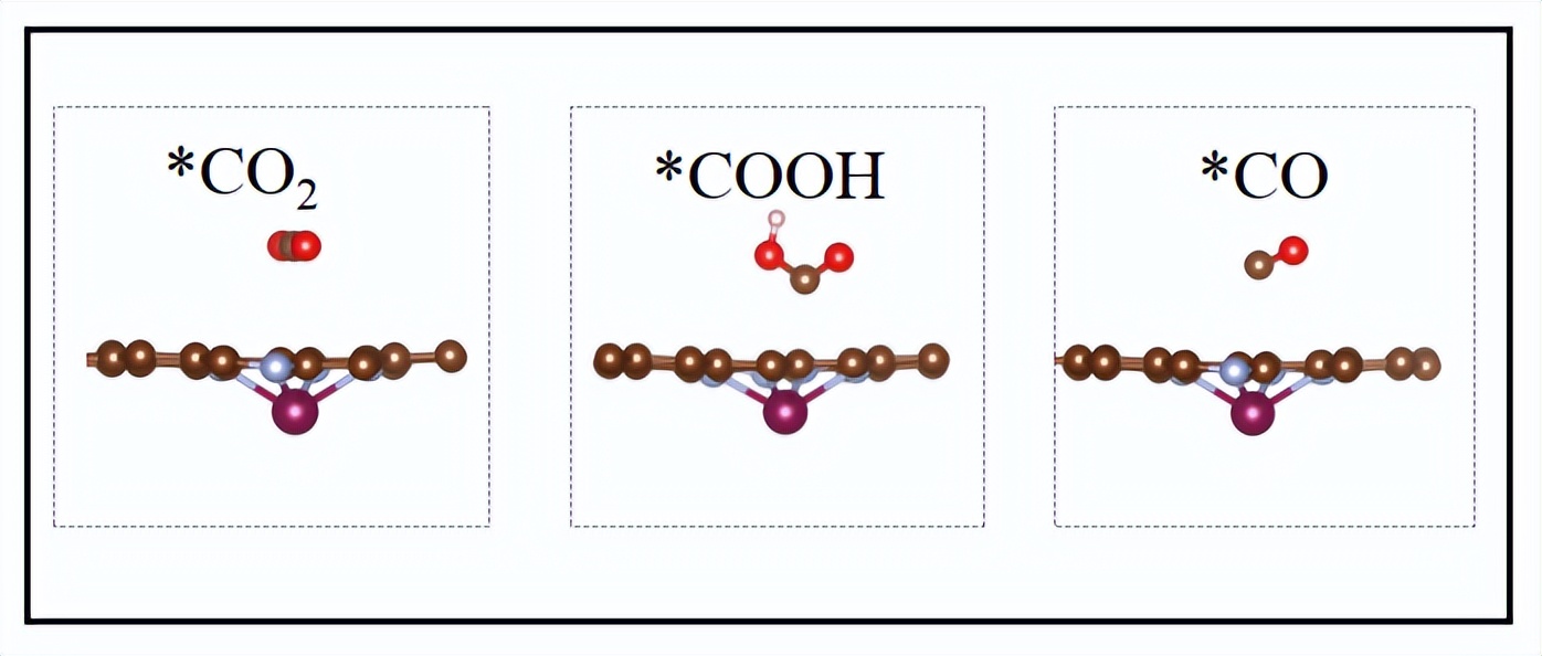 图4.吸附CO2、COOH和CO的结构示意图
