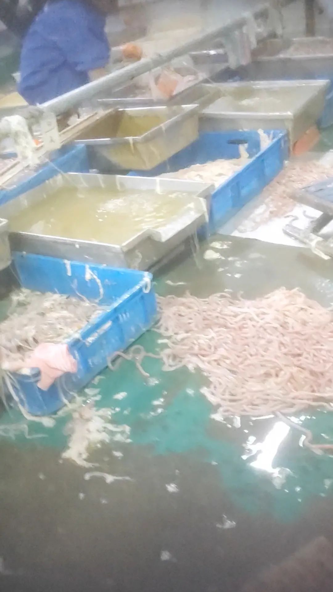 ▲山東雅士享肉類食品有限公司鴨腸生產車間地面堆滿鴨腸。新京報調查組 攝