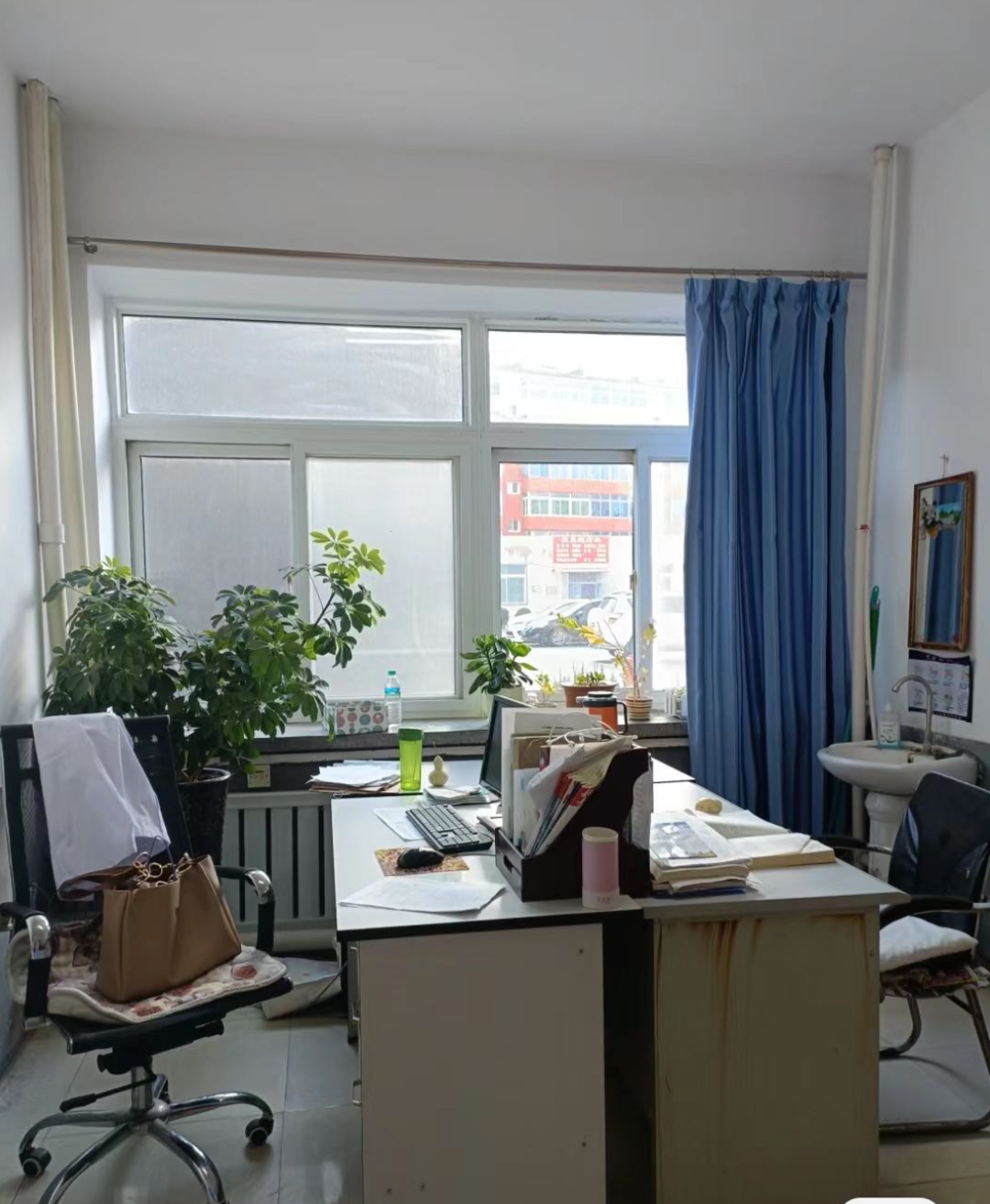 唐筱妍的办公室。她每天上班第一件事是浇绿植。(图/受访者供图)