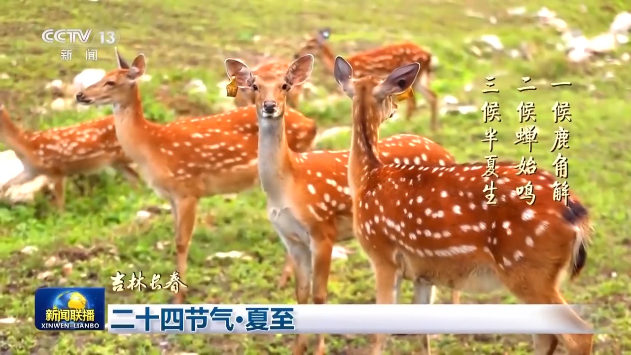 陈敏希讲如何打造万人瞩目的朋友圈