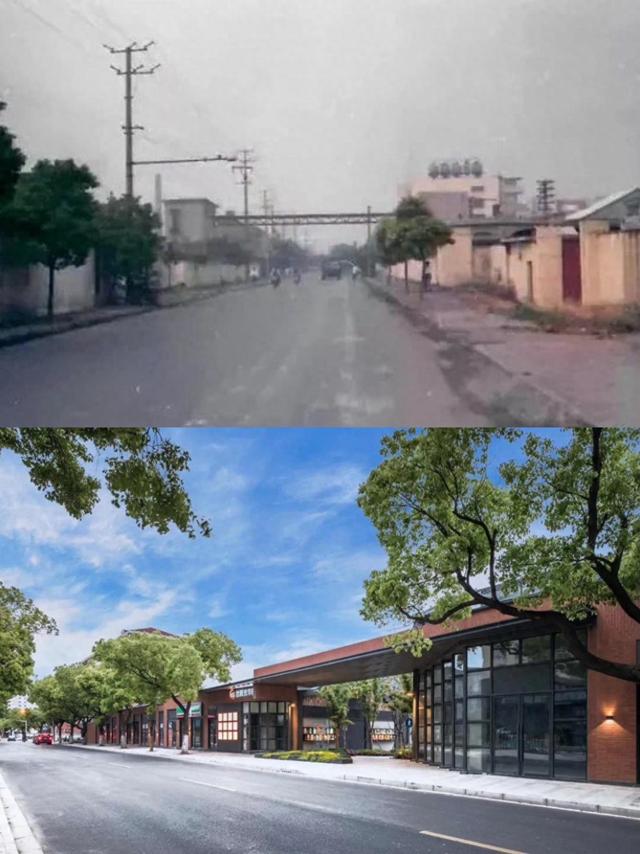 改造前的光华路（上）、改造后的光华路（下）。闵行区 供图