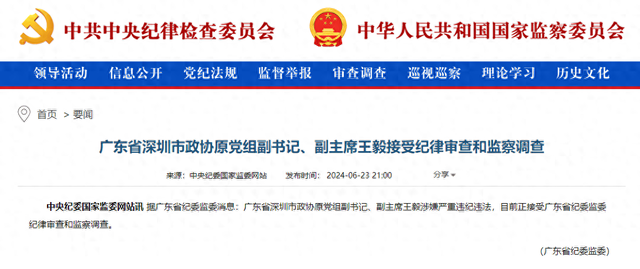 中央纪委国家监委网站截图