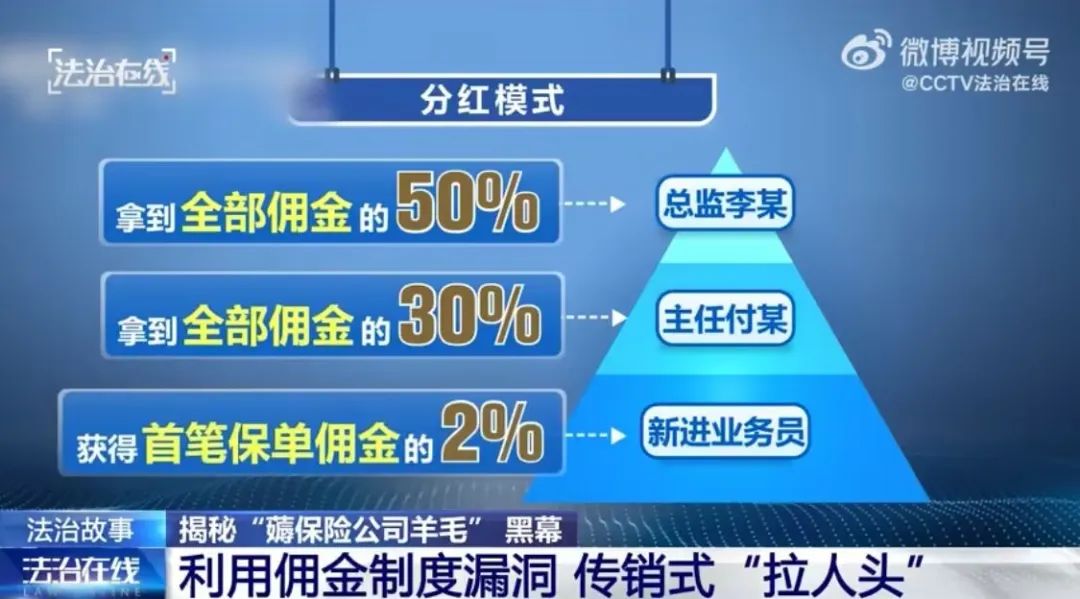 天猫运营总监提成,天猫运营总监提成多少