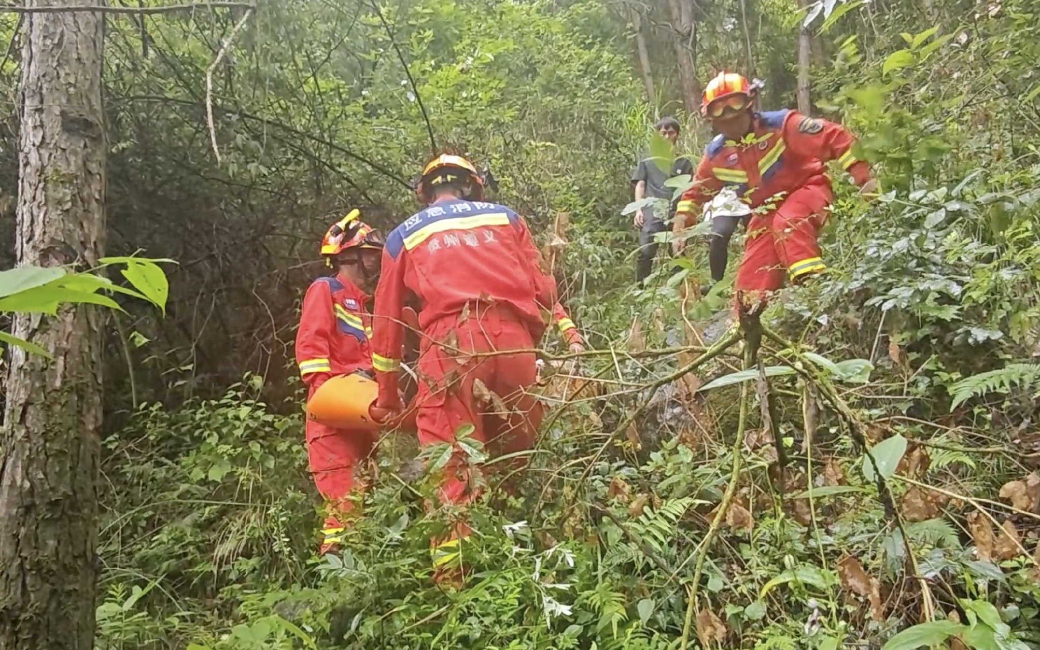 消防救援人員合力將受傷女子抬下山。 圖源:鳳岡縣建設路消防站
