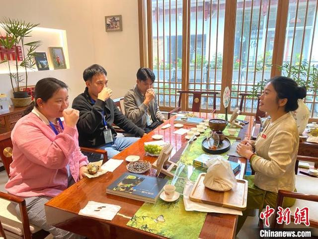 图为海外侨界代表品味云南茶。中新网记者 陈静 摄