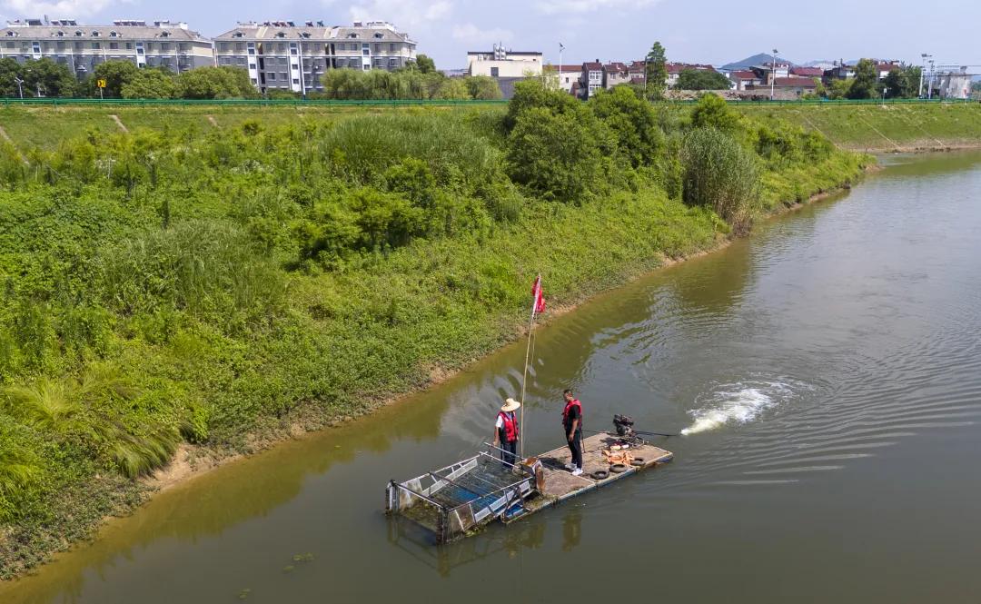 6月12日，在庐江县罗河镇罗昌河上，巡河人员正在开展日常清理整治工作，