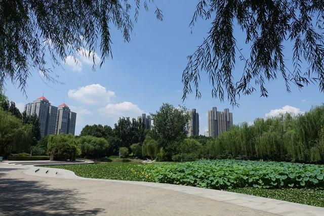 图|李新华