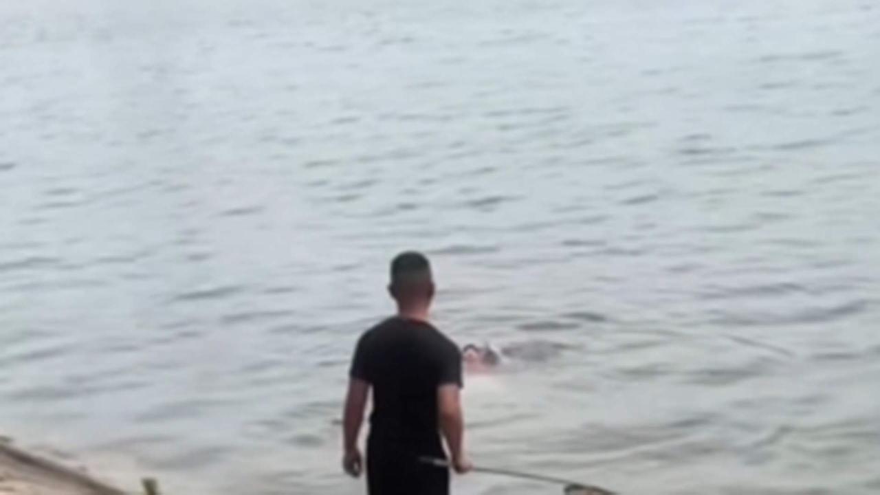 河南南阳男子回应“淡定”施救落水孩童：是在等待救人时机|河南省|落水|救人_新浪新闻