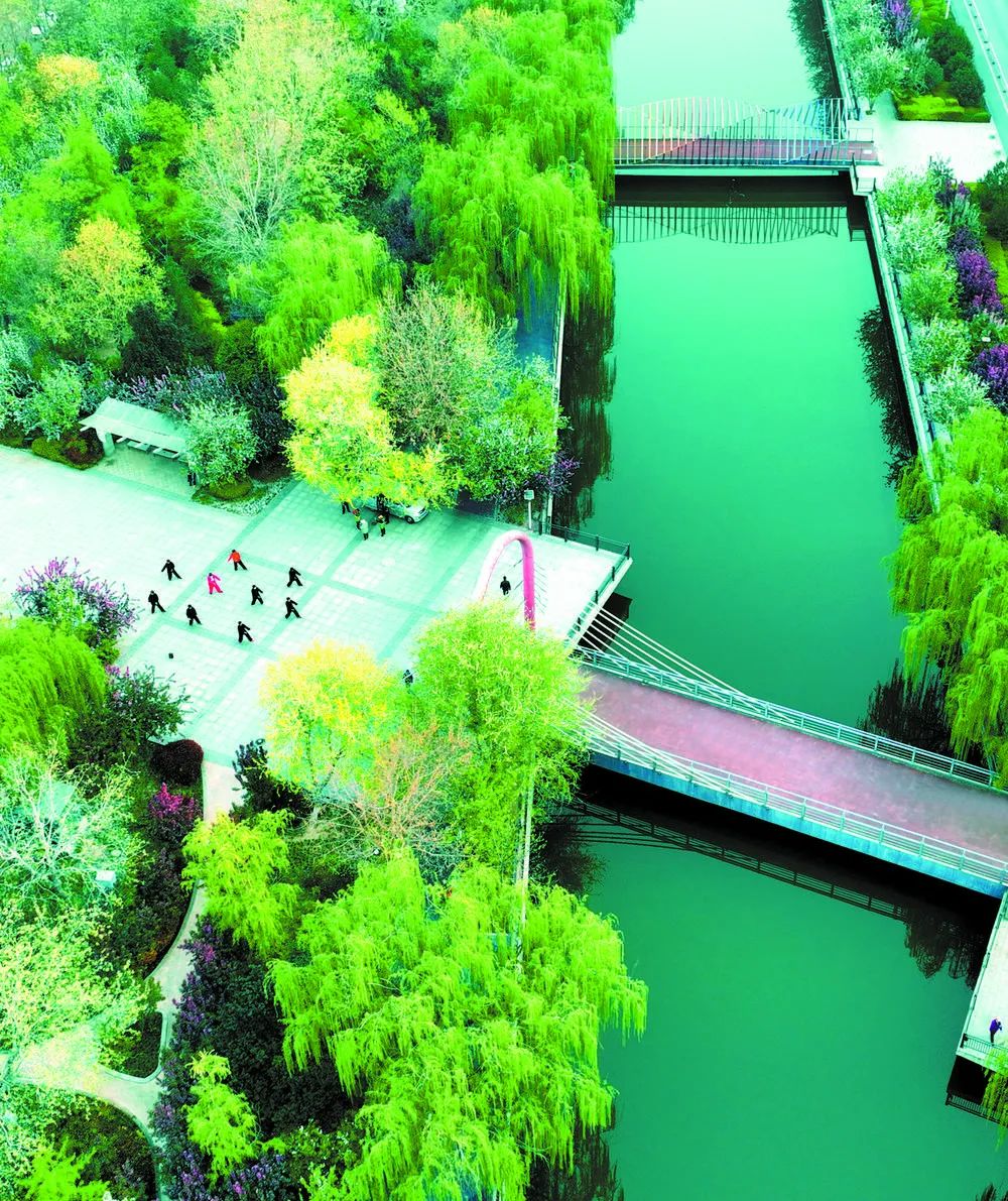 清晨,市民在绿树成萌的民心河沿线运动场所健身,城市活力尽显。记者 张晓峰 摄