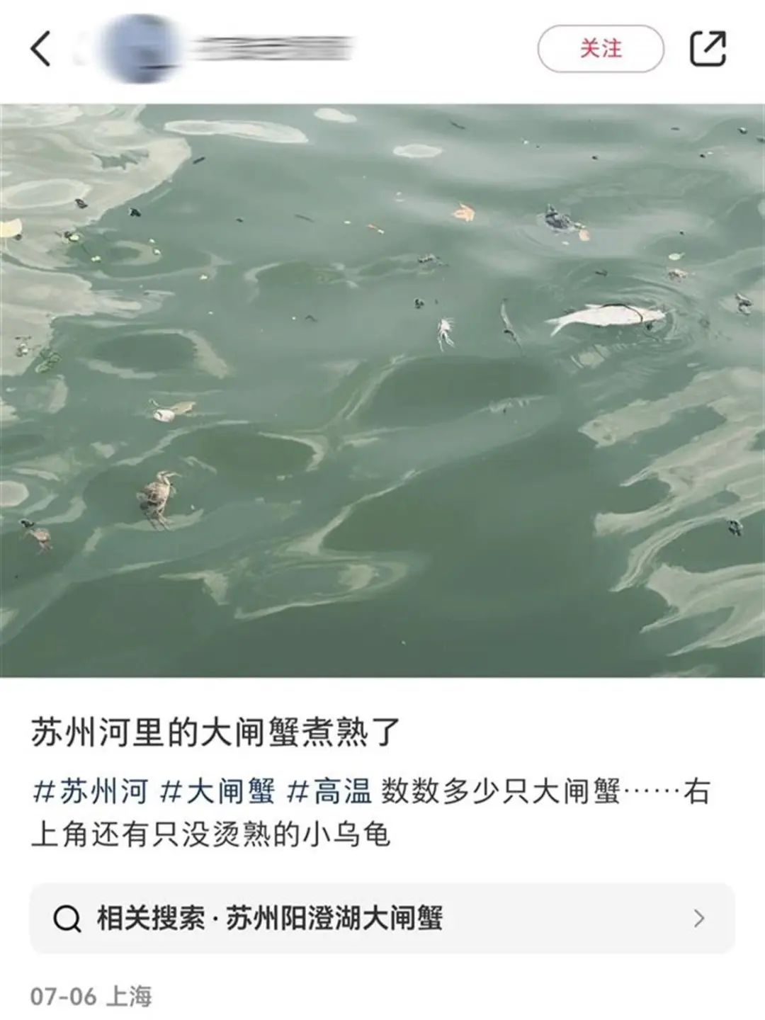 ▲网友发帖(截图自社交网络)