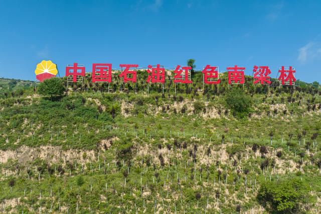 红色南梁林(杨军平 摄)