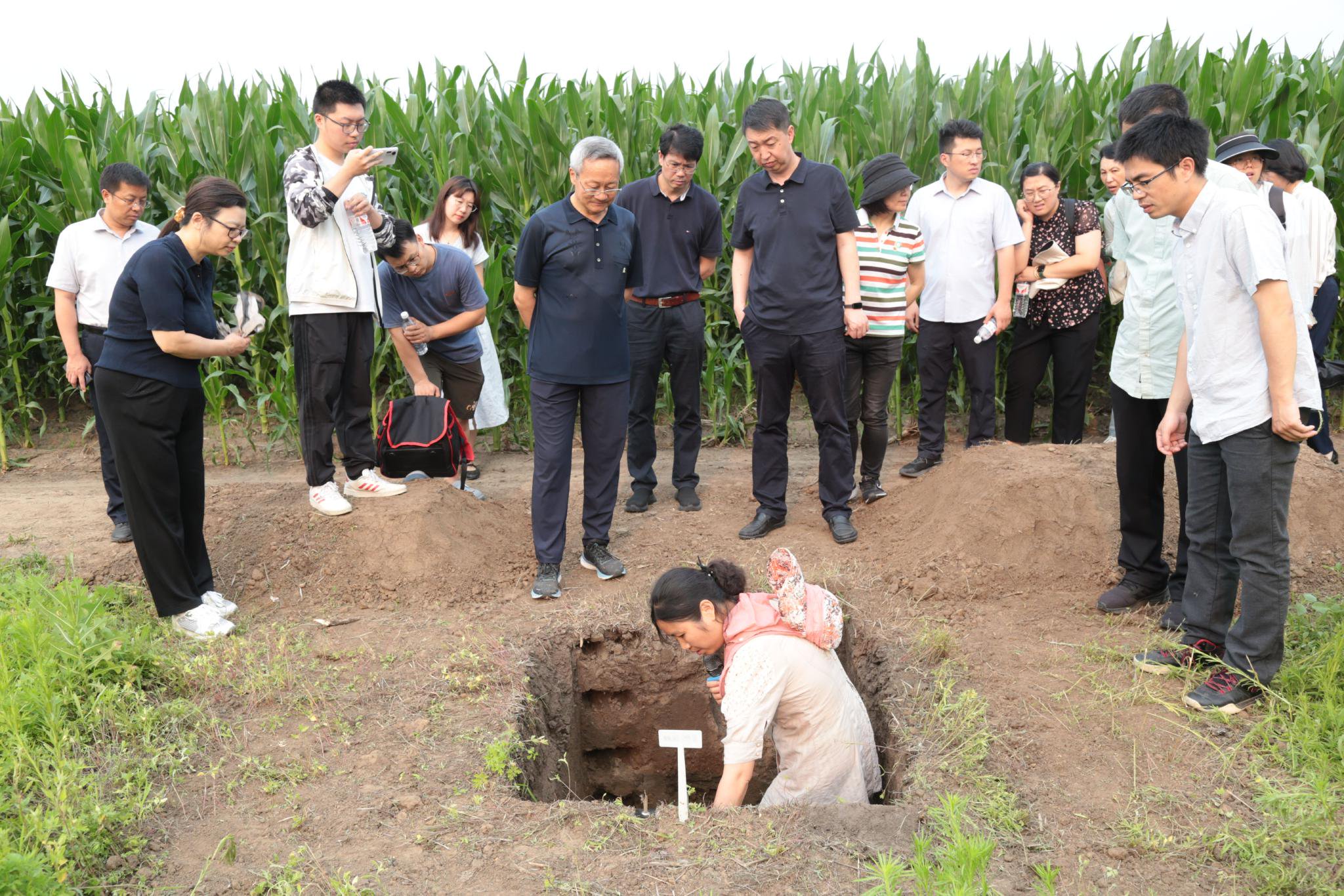中國農業科學院「黑土健康培育與增糧關鍵技術研究及示範」現場觀摩會。中國農業科學院供圖