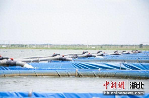 李义武 摄
