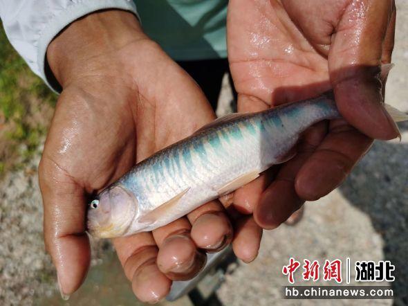 李义武 摄