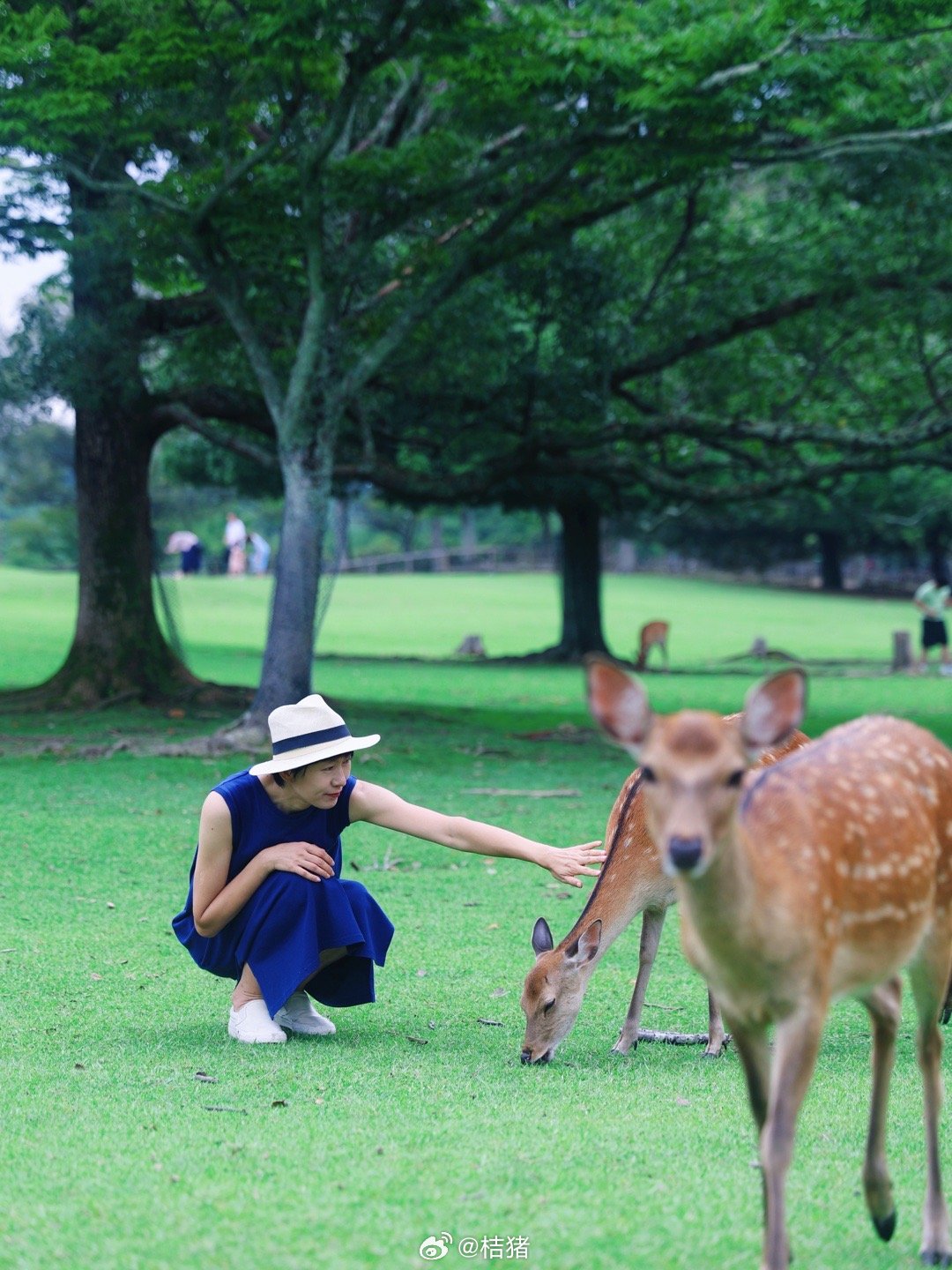 “网红”景点的“骗局”都是什么套路?...