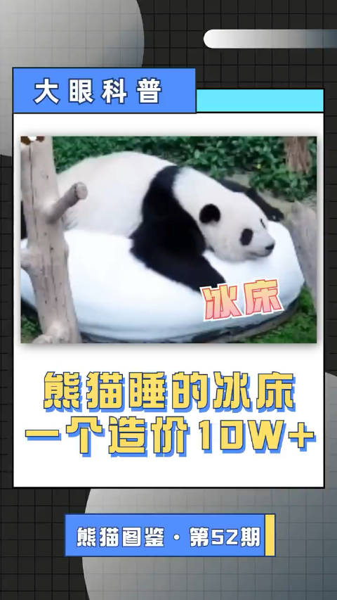 太原女大学生的精油按摩