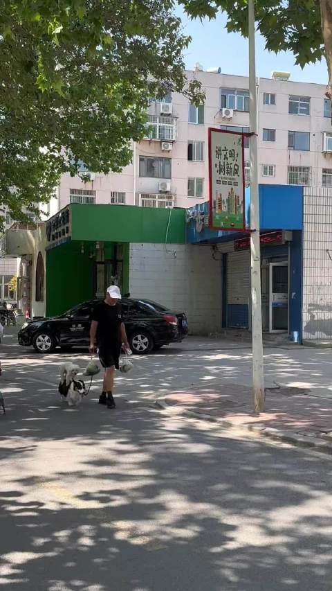 底盘低的车就是稳