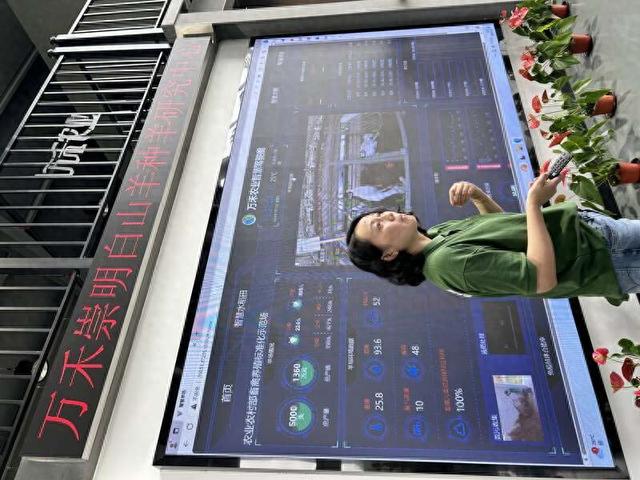 工作人员介绍智慧羊场的情况。中青报·中青网记者 魏其濛/摄