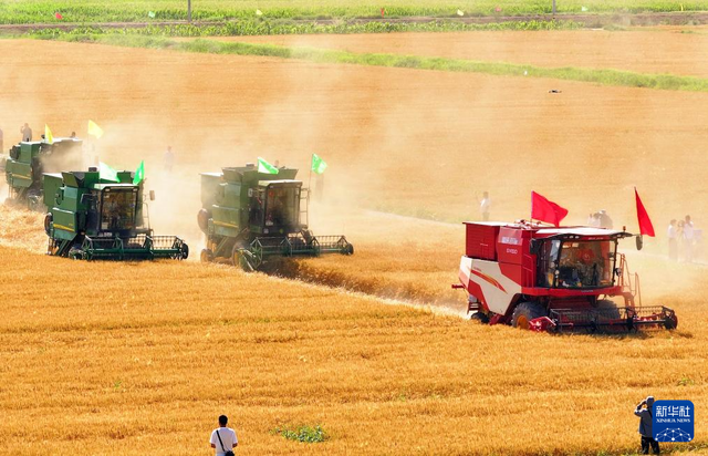 联合收割机收麦子 6884-d443188abf7562de4268c887fdfa435b.png