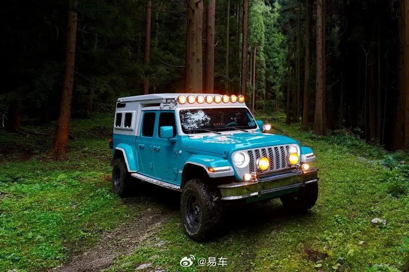 霸王龙行者系列旅行车/角斗士宿营版上市 售48.99万元起