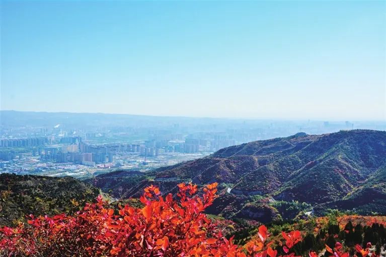 崛围红叶 李学军 摄