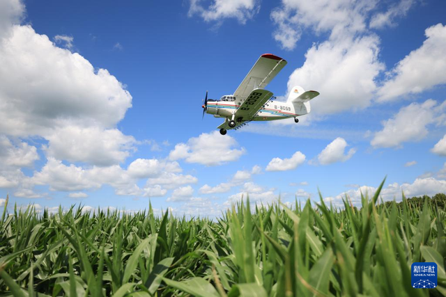 722գڱļűֹ˾Թũ޹˾׵ؿ飬ũ÷ɻڽкҵ »緢Ǯ㣩