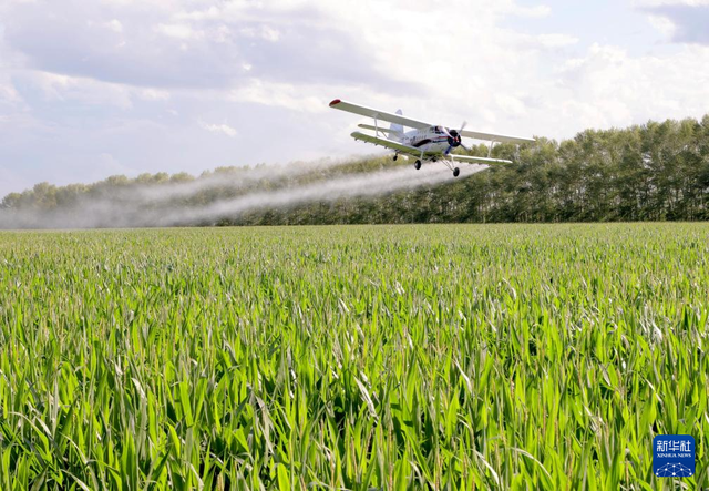 721գڱļźɫ߽ũ޹˾һҵ׵ؿ飬ũ÷ɻڽкҵ »緢½㣩