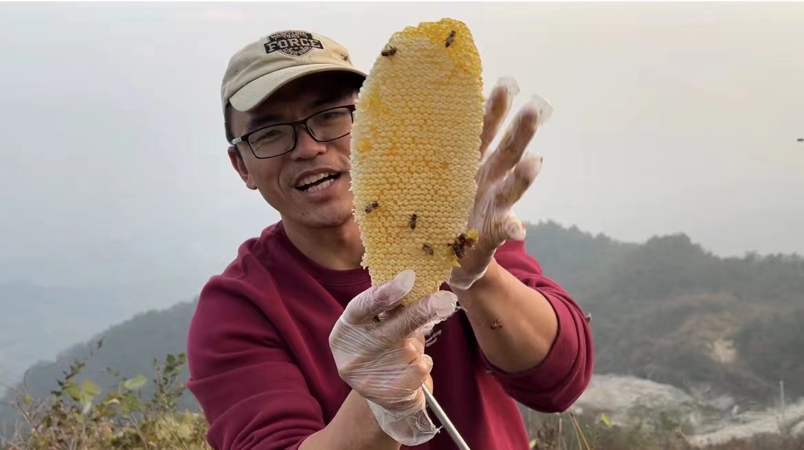 唐歡在山野間養了一群蜜蜂。 受訪者供圖