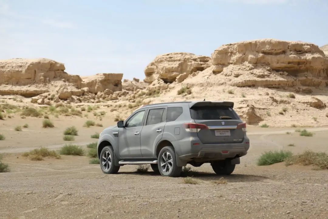 大五座布局,家用撒野两不误!