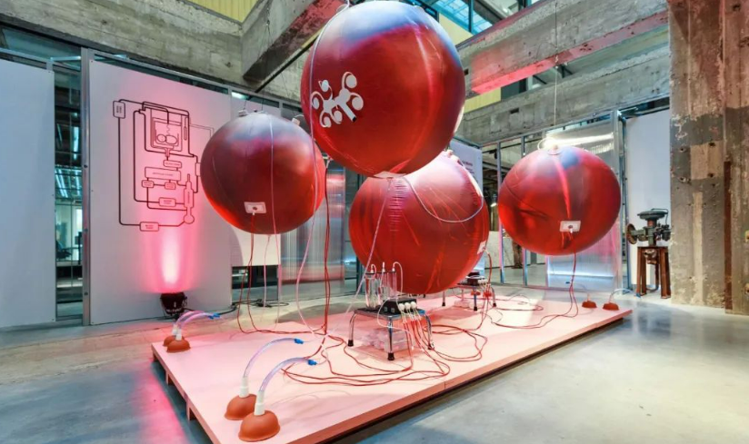 荷兰埃因霍芬理工大学的人造子宫模型,图片来源:TUEindhoven Cursor