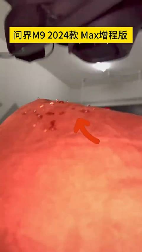 北京车主称刚买的问界M9才开2000公里就车内漏水…