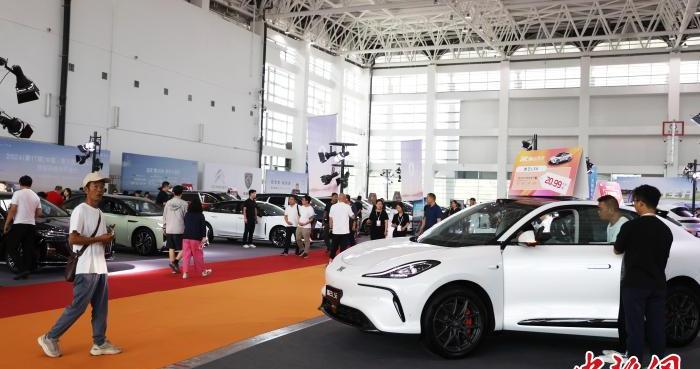 宁夏银川：市民周末逛车展