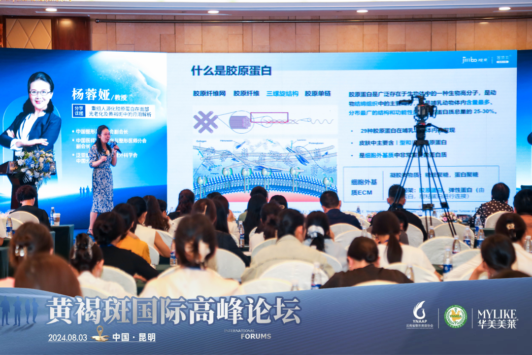 ▲中国整形美容协会副会长杨蓉娅教授《重组人源化胶原蛋白在面部光老化及黄褐斑中的应用解析》