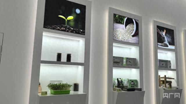 明阳农业犹如一株荞麦嫩芽在不断发展壮大(央广网见习记者 邵玉琴 摄)