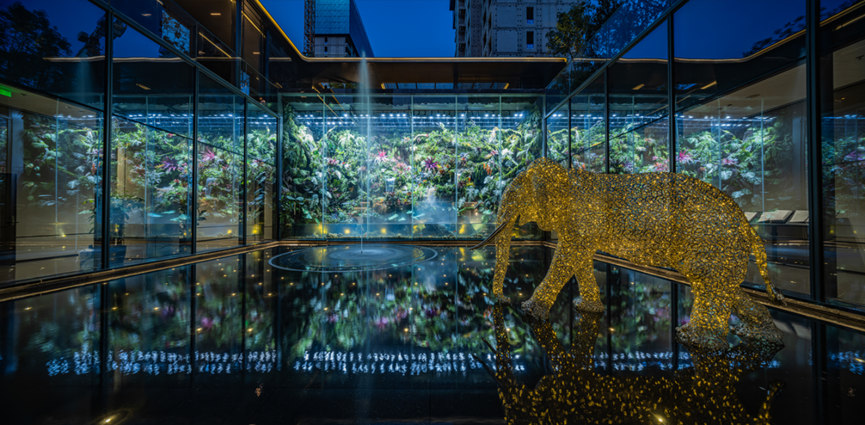 招商玺奇幻雨林区实景示范区图