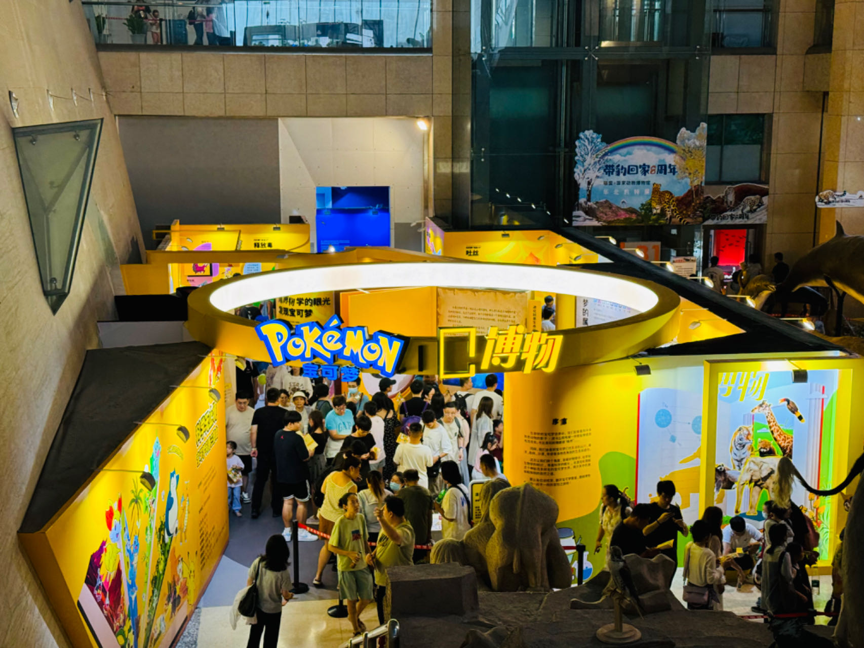 人类向动物学什么 职场角色如何扭曲人性