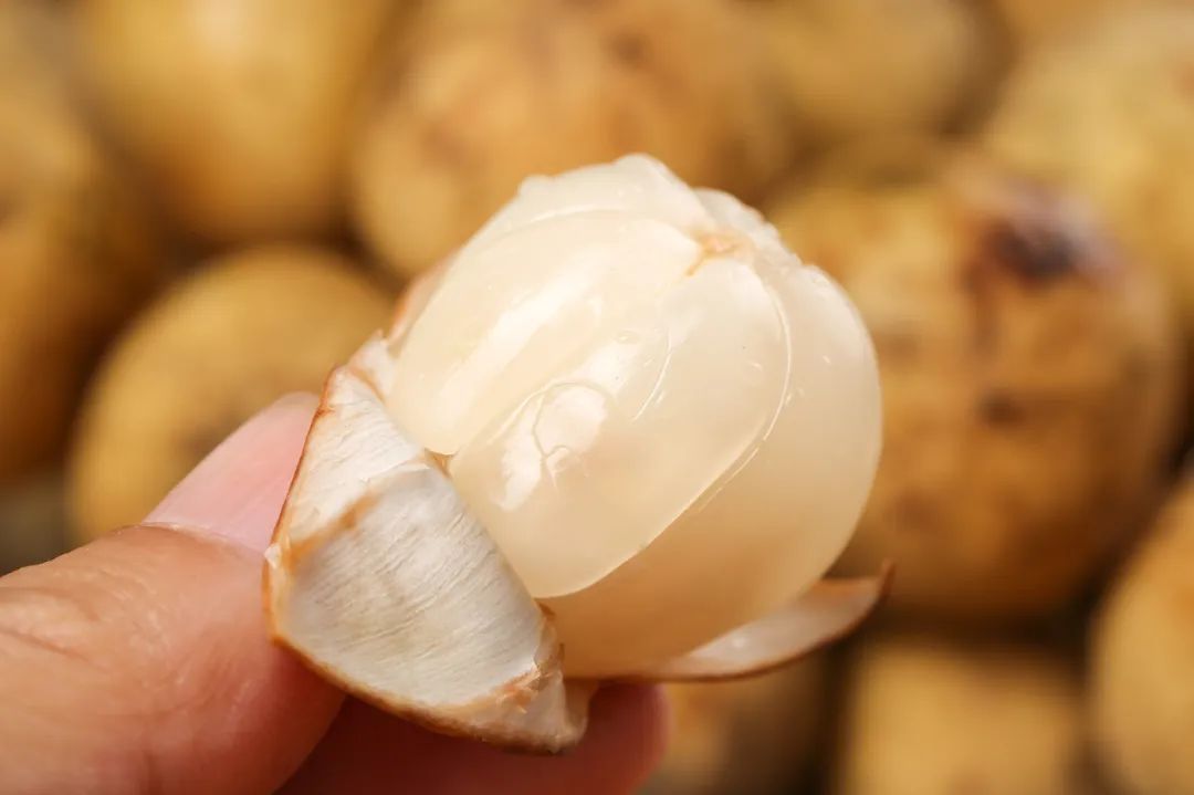 黄皮是桂圆吗 8199-825c7585bb9a97240971990ec415216f.jpg