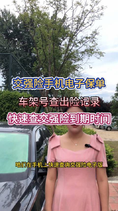 交强险手机电子保单，车架号查出险记录，快速查交强险到期时间