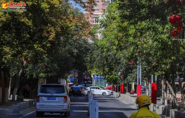 明德路道路两旁绿树成荫,阳光透过树叶洒向地面。(8月13日摄)记者米热扎提·木塔力甫摄